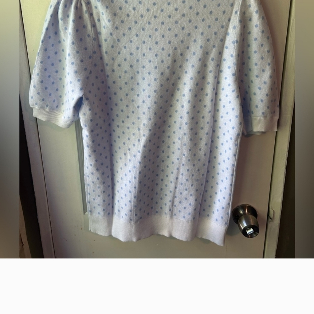LOFT NWT Pindot Scalloped Sweater Tee. Polka Dots. Light Blue & White. Size S. - Picture 6 of 7